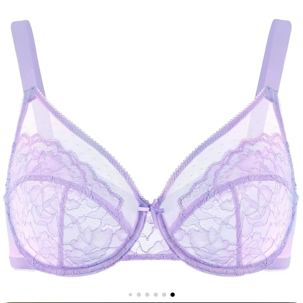 HSIA Elegant Lavender Lace Bra brand new sealed package 44DDD